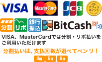 VISA・MasterCard・JCB・銀行振込・BitCash対応／分割払いは3回・5回・6回から選べます